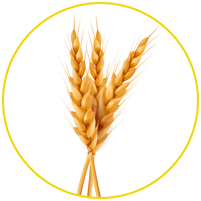Telmone Білки пшениці